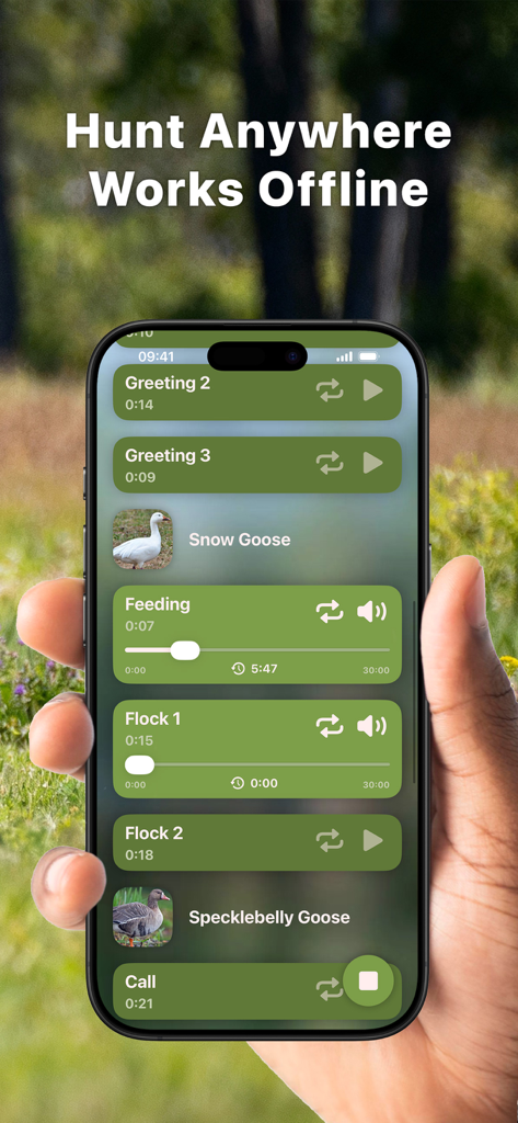 Hunting Calls: Goose - Mobile app interface for Hunting Calls Goose showing sound sequences for Snow and Specklebelly geese.