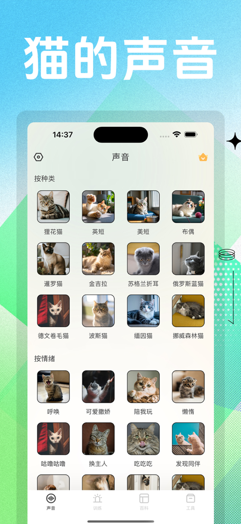 猫咪模拟器 - Mobile app interface of Cat Simulator showing a sound library with various cat breeds and emotional sounds for interaction.