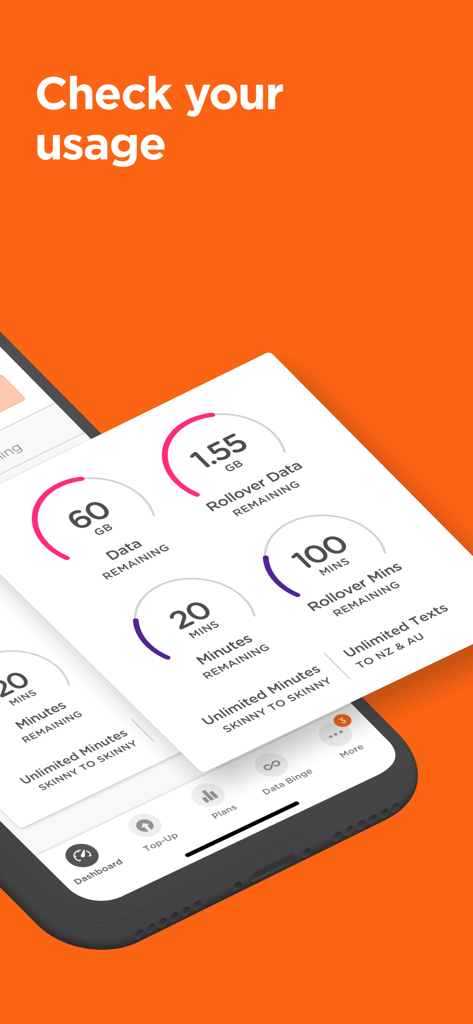 Skinny Mobile - Interface of the Skinny Mobile app showing data and minutes usage trackers