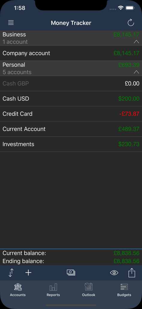 Money Tracker Infinite - Money Tracker Infinite app dashboard displaying multiple business and personal account balances in different currencies