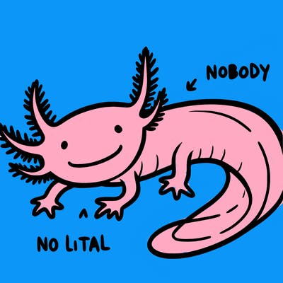 axolotl with nobody, no tail just two leg legs