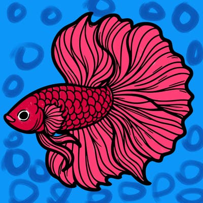 betta fish