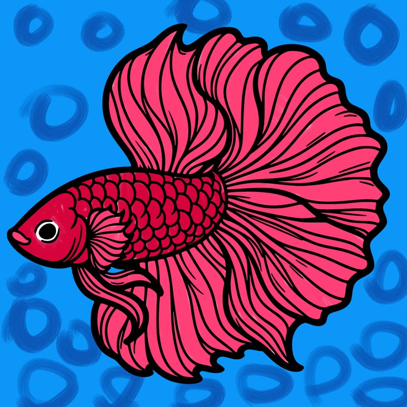 betta fish