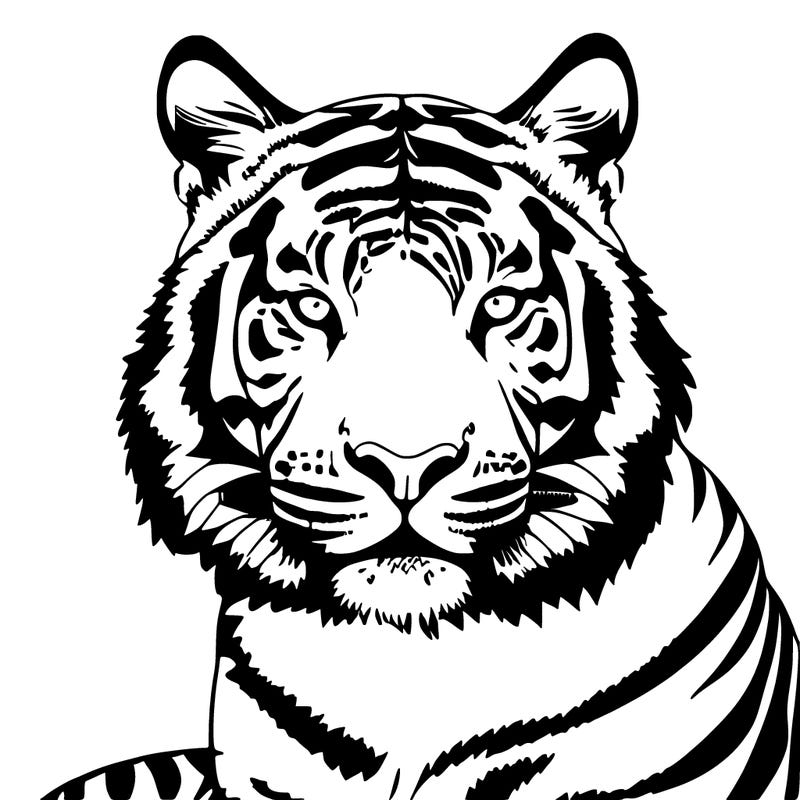 tiger