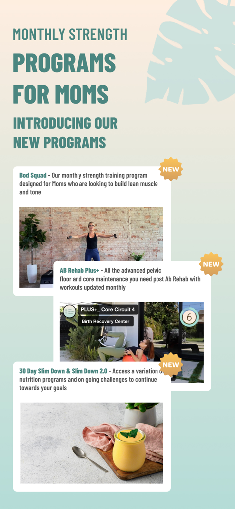 Birth Recovery Center - Monthly strength core rehab and nutrition programs for mothers