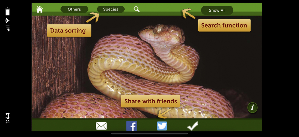 뱀 사진과 검색 및 공유 옵션을 보여주는 뱀 e가이드 앱의 인터페이스