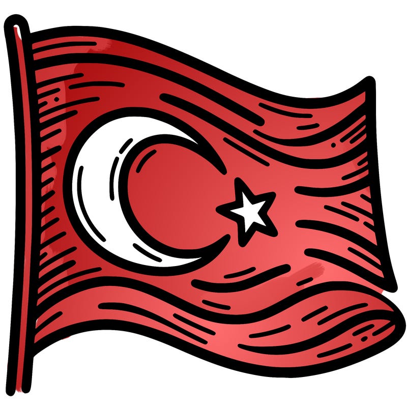 turkish bayraiği