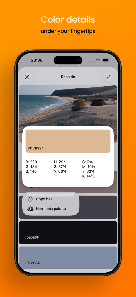 Interface mostrando detalhes de cores incluindo códigos RGB HSV CMYK e HEX extraídos de uma foto à beira-mar