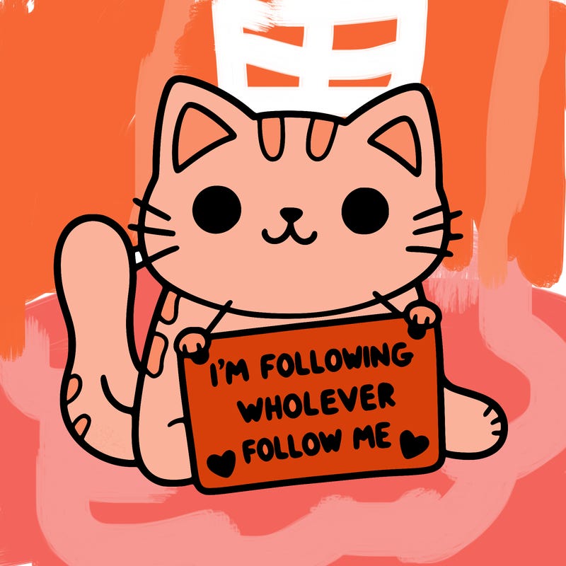 cat with a sign that says i’m following whoever follows me