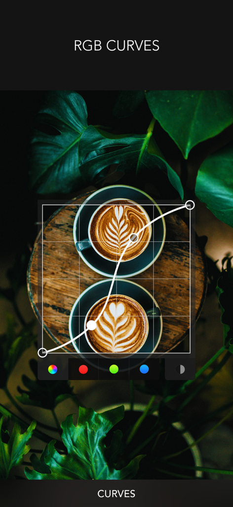 Herramienta de curvas RGB en la aplicación de edición de fotos PICSPLAY 2