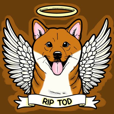 picture of a realistic shiba inu saying rip tod with a halo above its head and with angel wings