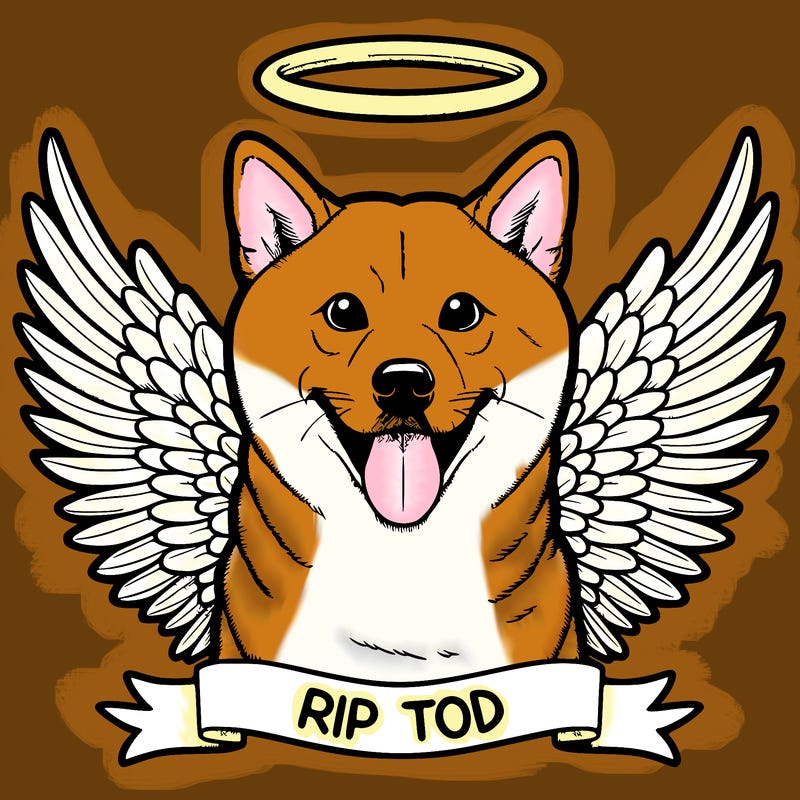 picture of a realistic shiba inu saying rip tod with a halo above its head and with angel wings