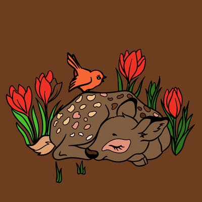 animals_61