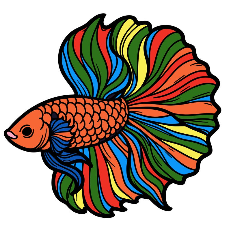 betta fish