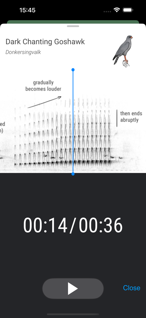 Kruger Birding by Firefinch - 