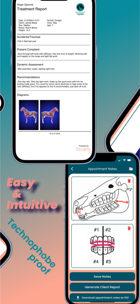 Equigate - Equigate mobile app interface showing professional equine treatment reports and dental appointment notes