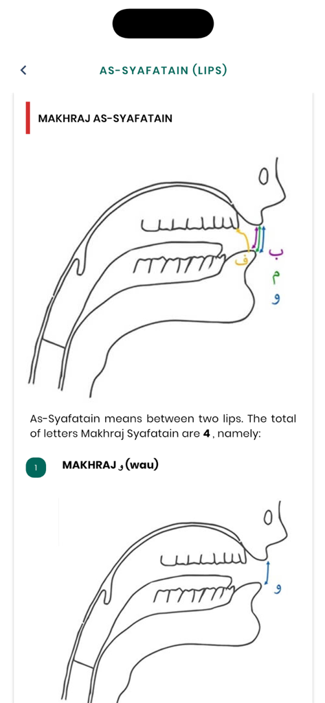 JomTajwid - A diagram in the JomTajwid app showing the point of articulation for Arabic letters pronounced using the lips.
