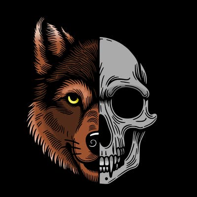 picture of realistic wolf with half skeleton face wolf skull