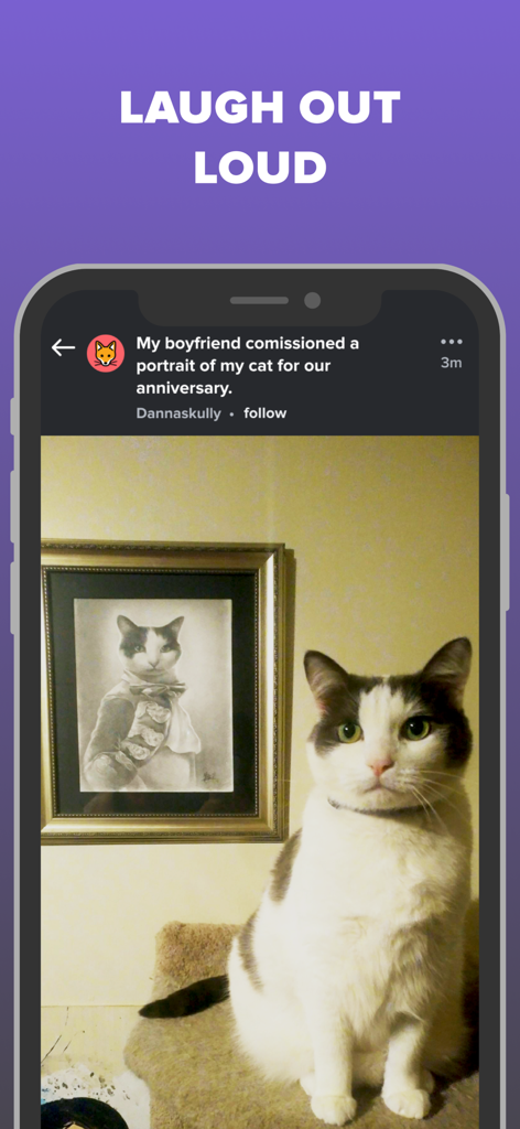 A screenshot of the Imgur app displaying a funny post of a cat next to its commissioned formal portrait.