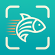 iFished: Fish Verify