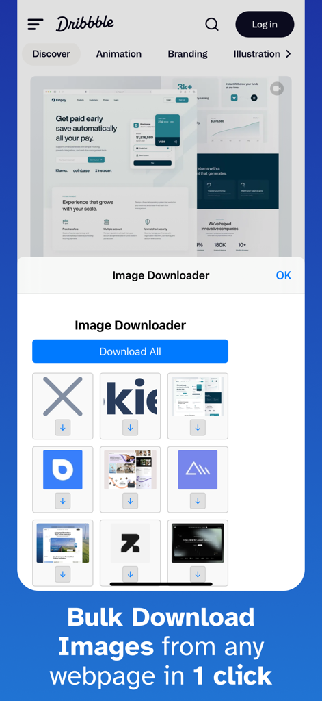 Safari에서 웹사이트의 이미지를 대량 다운로드하기 위한 모바일 앱 인터페이스