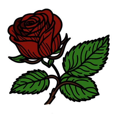 rose