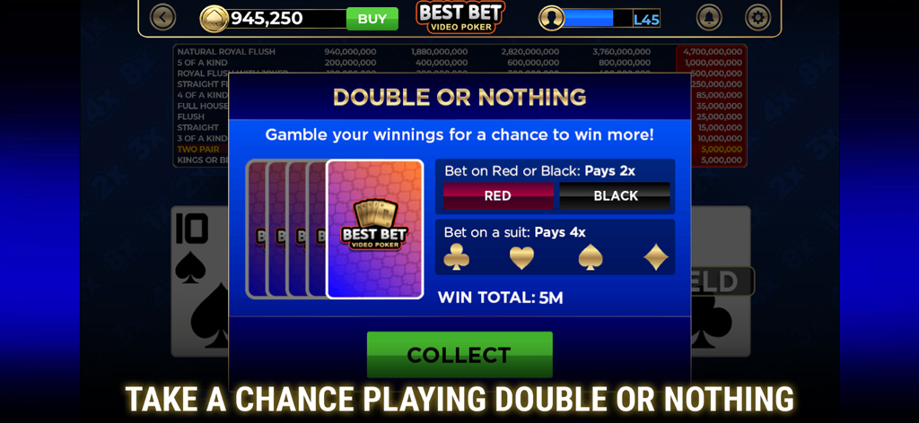 Best Bet Video Poker - Pantalla de apuesta Doble o Nada en la aplicación Best Bet Video Poker