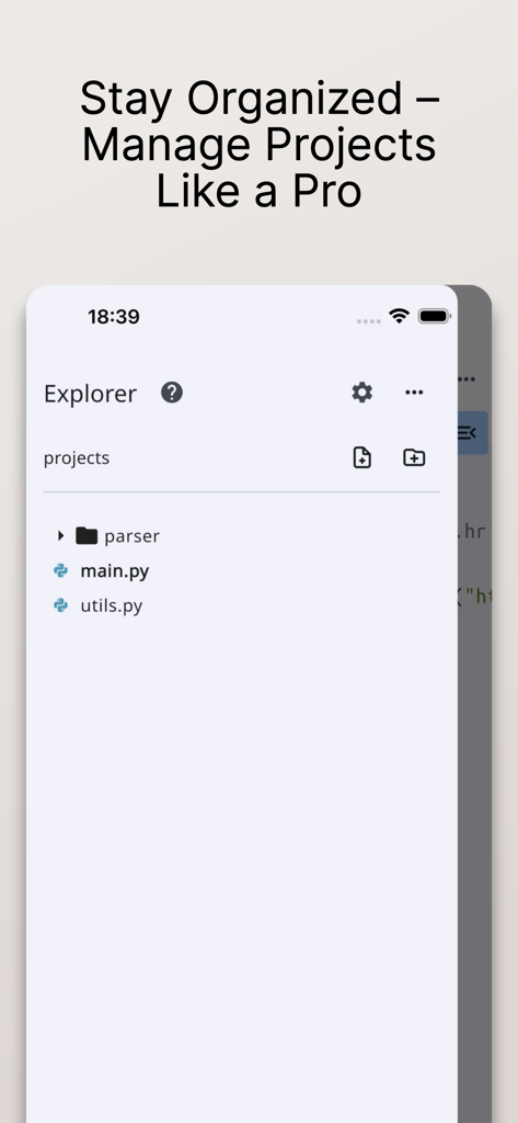 File explorer interface in the Python IDE showing project files and folders.