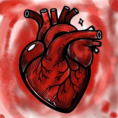 realisticl heart