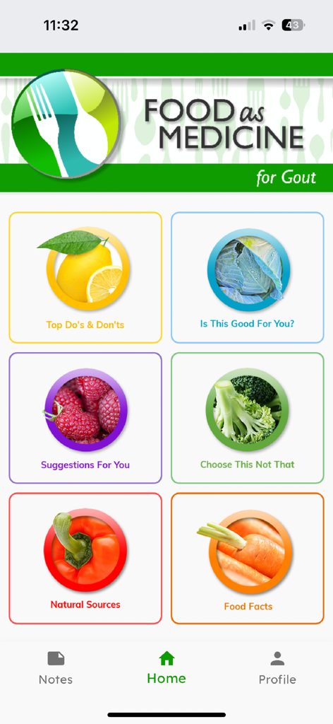 Gout + - Home screen of the Gout plus app displaying a menu of nutrition guidelines and food suggestions for gout management.