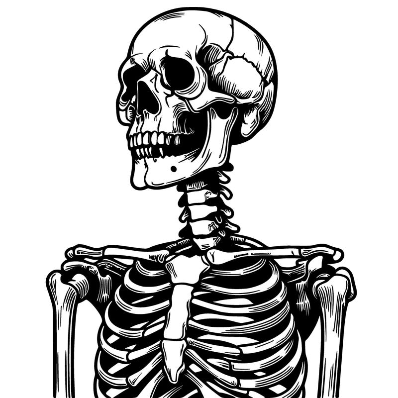 skeleton realistic