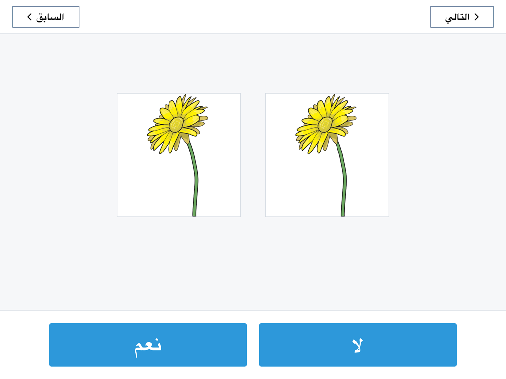 Prueba de emparejamiento cognitivo en la aplicación NIH Toolbox V3 Árabe que muestra dos flores amarillas idénticas con botones en árabe para sí y no