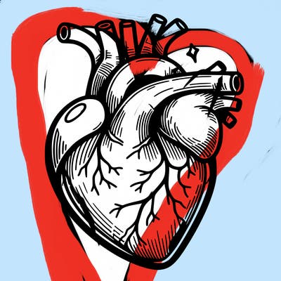 realisticl heart