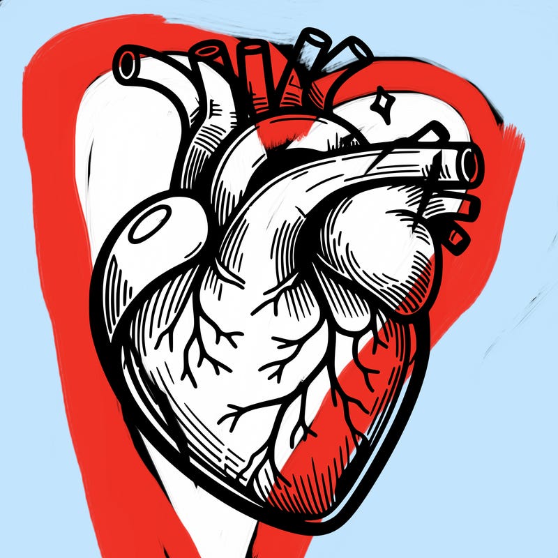realisticl heart