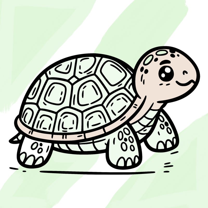 turtle