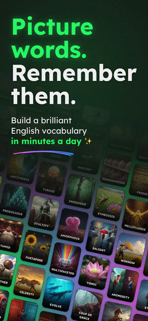 VividVocab: Remember Words - Grid of visual mnemonic flashcards in the VividVocab app for learning English vocabulary