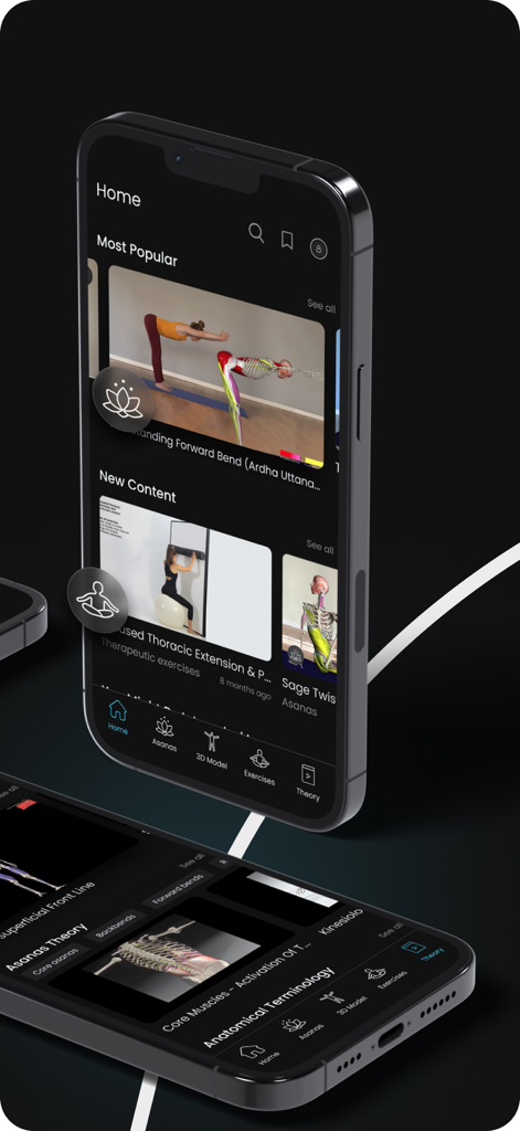 Smartphone screens displaying the Yoga by Muscle and Motion app with 3D musculoskeletal anatomy and yoga poses.