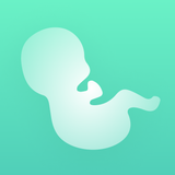 Contraction Timer & Counter 9m