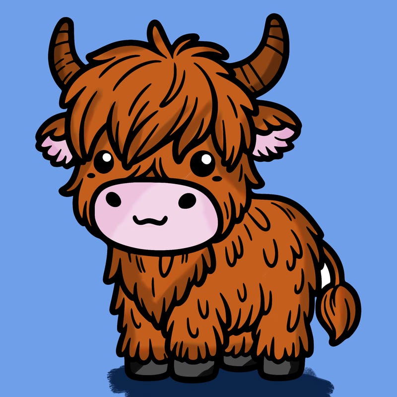 highland cow