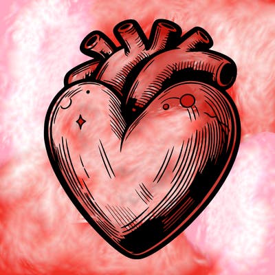 realistic heart