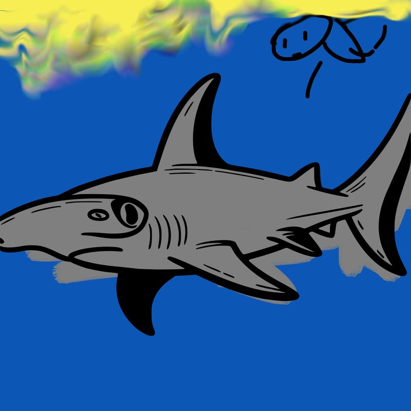 hammerhead shark