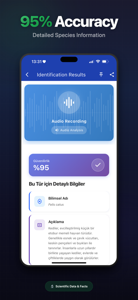 Animal Sound Identifier AI - Tela de resultados de identificação do aplicativo Identificador de Sons de Animais IA mostrando 95% de precisão e detalhes da espécie