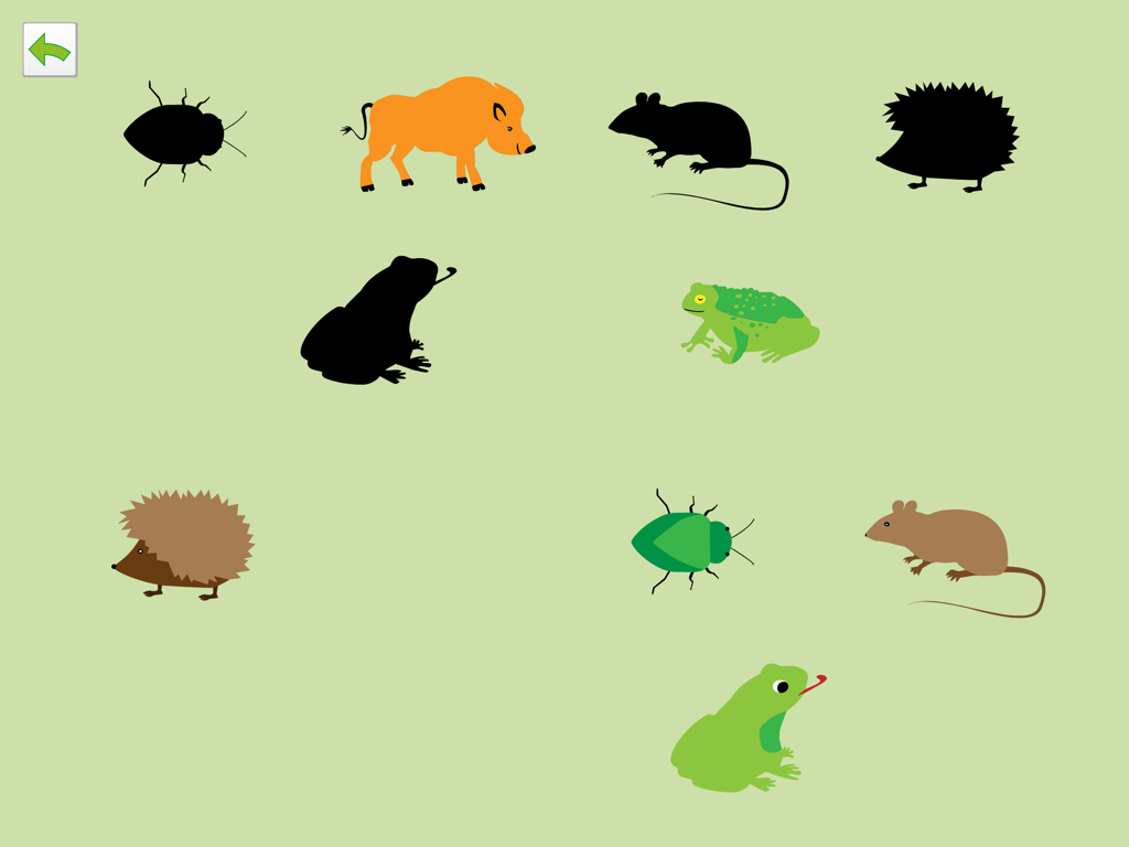 PreNumbers PRO - A cognitive matching activity featuring animal silhouettes and colored animals in a forest theme
