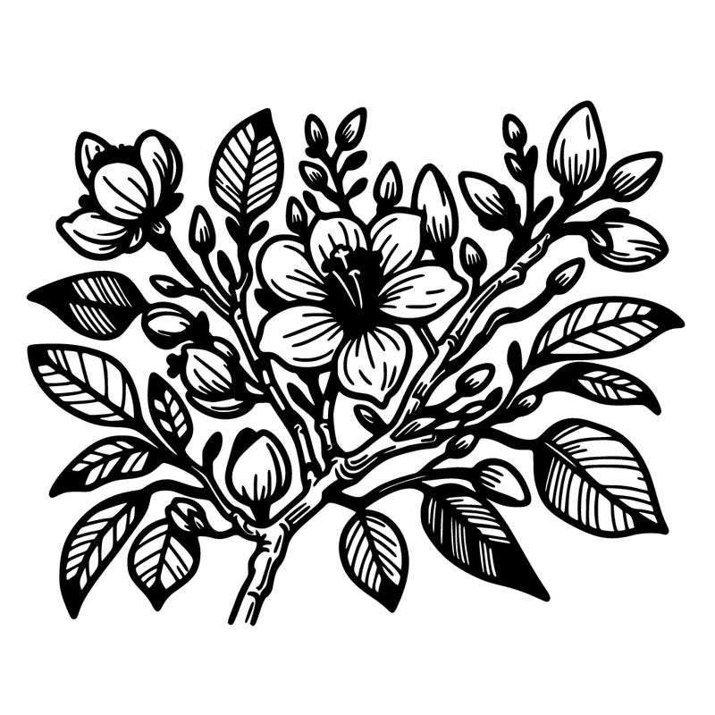 hong kong china bauhinia