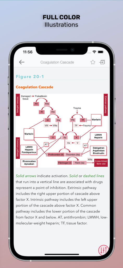 Washington Manual Medical Ther - A medical diagram of the coagulation cascade shown within the Washington Manual Medical Therapeutics mobile application interface.