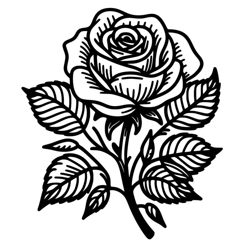 rose