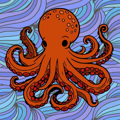 octopus