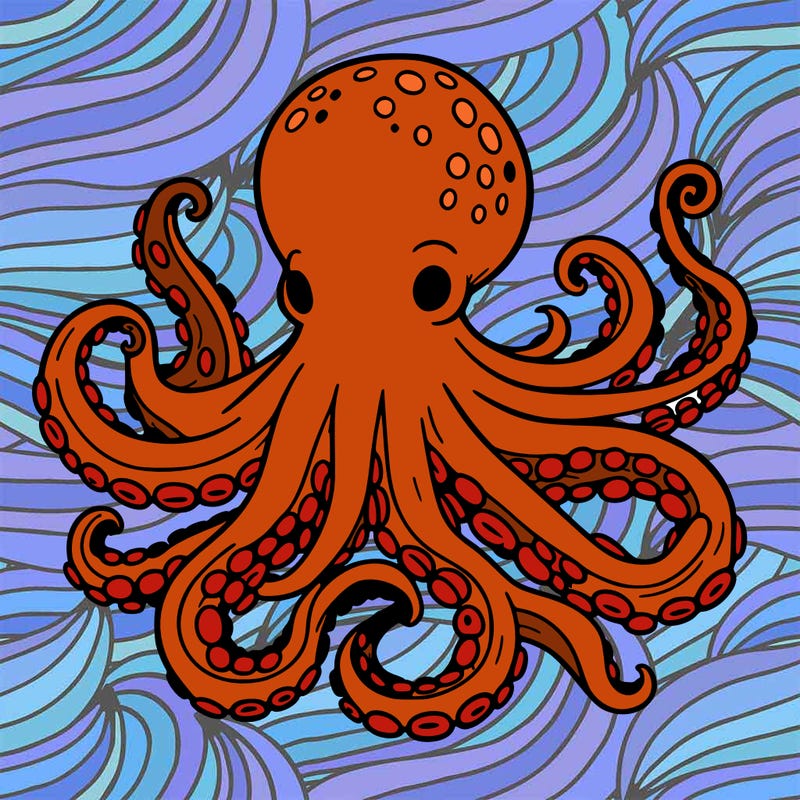 octopus