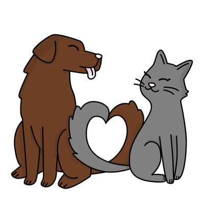 animals_22
