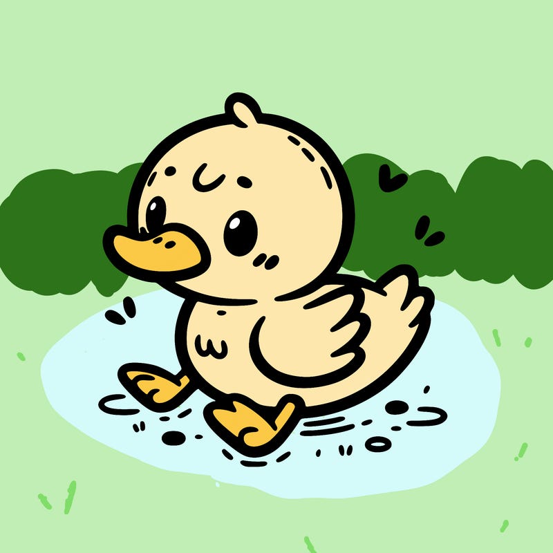 cute duck